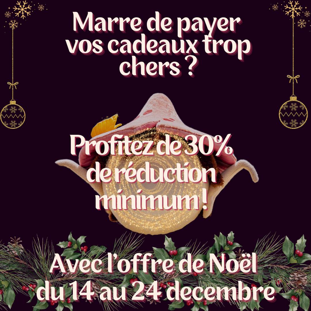 Offre Noël 1 2024